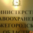 Нижегородский Минздрав обязали обеспечить онкобольного лекарствами - ИА Нижний сейчас