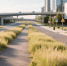 Павел Малков раскритиковал неэффективную работу по покосу высокой травы - ИА Малая Родина