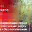 О восстановлении лесного фонда Псковской области расскажет Виктор Мусатов в пресс-центре ПЛН - Pln-Pskov.Ru