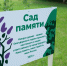© Пресс-центр правительства Новгородской области - Novgorod.Ru