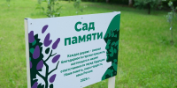 © Пресс-центр правительства Новгородской области - Novgorod.Ru
