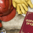 Стартовал прием заявок на Всероссийские конкурсы в области охраны труда - Малосердобинский район