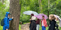 Калужские школьники прошлись по экотропе - Телерадиокомпания Ника