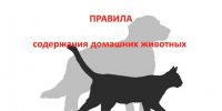 ПАМЯТКА  о  требованиях и правилах по содержанию домашних животных. - Мишкинский муниципальный округ