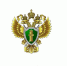 Региональная прокуратура разъясняет законодательство об уголовной ответственности за совершение хулиганских действий - Балаковские вести