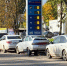 ФАС усиливает борьбу со спекулятивными перепродажами топлива - OrelGrad.Ru