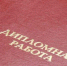 дипломная работа - Петрозаводск говорит