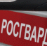 В Тольятти сотрудники Росгвардии предотвратили кражу из гипермаркета - НИА Самара
