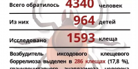 Санитарная служба информирует: мониторинг клещевой активности в Бугульминском районе - Бугульминская газета