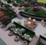 80765 - SochiNews.io