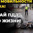 Акцент – на детской безопасности - Министерство общественной безопасности