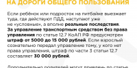 питбайк_4.jpg - Политехнический колледж