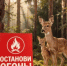 Министерство призывает каждого охотника стать хранителем природы под девизом «Останови огонь!» - Минэкологии РБ