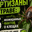 Пауки-партизаны в траве: 5 неожиданных фактов о клещах и как от них защититься - Bloknot-Volgodonsk.Ru