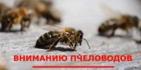Внимание пчеловоды! Обработка посевов МО Нечкинское 29 июня - 05 июля 2026г - Сарапульский район