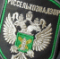 В Ливенском районе ветврач выпустила в обращение говядину с прошлогодними анализами - Уездный город