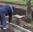 Видео - ТВН