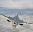 MWM: модернизированный Ту-160М с новым двигателем угрожает НАТО - ИА Общественная служба новостей