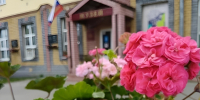 Выставка «Музей цветов. Пеларгония» открылась в кстовском музее - Администрация г. Нижний Новгород