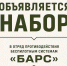 В Карелии формируют отряд для защиты неба - Кондопожский район