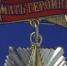 «Матерям-героиням» в Ленобласти будут давать бесплатные участки - 47 новостей
