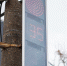 Первоисточник - Syktyvkar.1istochnik.Ru