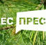 Рослесхоз: стартовал прием заявок на IV Всероссийский конкурс для журналистов и блогеров «ЛЕС-ПРЕСС» - Министерство лесного хозяйства