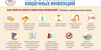 Профилактика острых кишечных инфекций в летний период - Башмаковский район