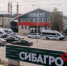 Красноярский свинокомплекс «Сибагро» отметил 13-летие - NIATomsk.Ru