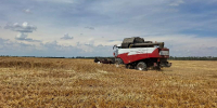 Аграрии Курганинского района вступили в уборочную страду - Курганинский район