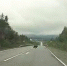 медведь на дороге - ИА Nord-News.Ru