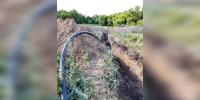 Жители воронежского посёлка вновь пожаловались на отсутствие воды - ГТРК Воронеж