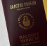 Паспортный стол туристического маршрута «Золотое кольцо» заработал в Сергиевом Посаде - MosRegToday.Ru