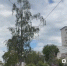 Капремонт улицы Николая Чумичова в Белгороде снизит аварийность - Сетевое издание Победа 31
