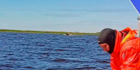 Ушел купаться. Молодого человека четвертый день ищут под Лугой - 47 новостей