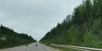 Фото: соцсети - Syktyvkar.1istochnik.Ru