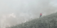 На кадрах процесс тушения лесного возгорания в районе н.п. Новороссийск (Лысая гора) лесопожарными формированиями ГБУ КК «Краевой лесопожарный центр». - Министерство природных ресурсов