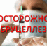 Приобретение мяса и молочных продуктов на стихийных рынках может привести к заражению бруцеллезом - Администрация г. Волжский
