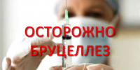 Приобретение мяса и молочных продуктов на стихийных рынках может привести к заражению бруцеллезом - Администрация г. Волжский