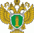 С сентября 2026 года изменится порядок переноса абонентских номеров - Город Губаха