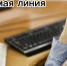 Прямая линия УМВД. - Администрация г. Северодвинска