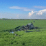 Трагедия в небе над Кубанью: вертолет Ми-2 рухнул во время сельхозработ, пилот погиб - Югополис