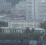 29 июня стартует прием заявок от самозанятых граждан города Мурманска на предоставление субсидий - Murman.Ru