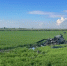 Опубликовано фото с места крушения вертолета Ми-2 в Краснодарском крае - Кубанские Новости