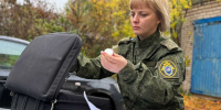 Расследованием уголовного дела занимался Валдайский межрайонный следственный отдел. - Новгородские Ведомости
