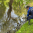 Свыше 68 тонн опасных отходов собрали экологические службы за неделю - Комитет по труду и занятости