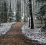 Фото: nadia_if/Shutterstock/Fotodom - Ямал-Медиа