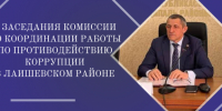 В Лаишеве обсудили меры борьбы с коррупционными рисками - Камская новь