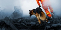 Фото: hxdbzxy/Shutterstock/Fotodom - Ямал-Медиа