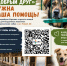 Приюту для бездомных животных «Добрый друг» нужна помощь устькутян - Усть-Кутский район